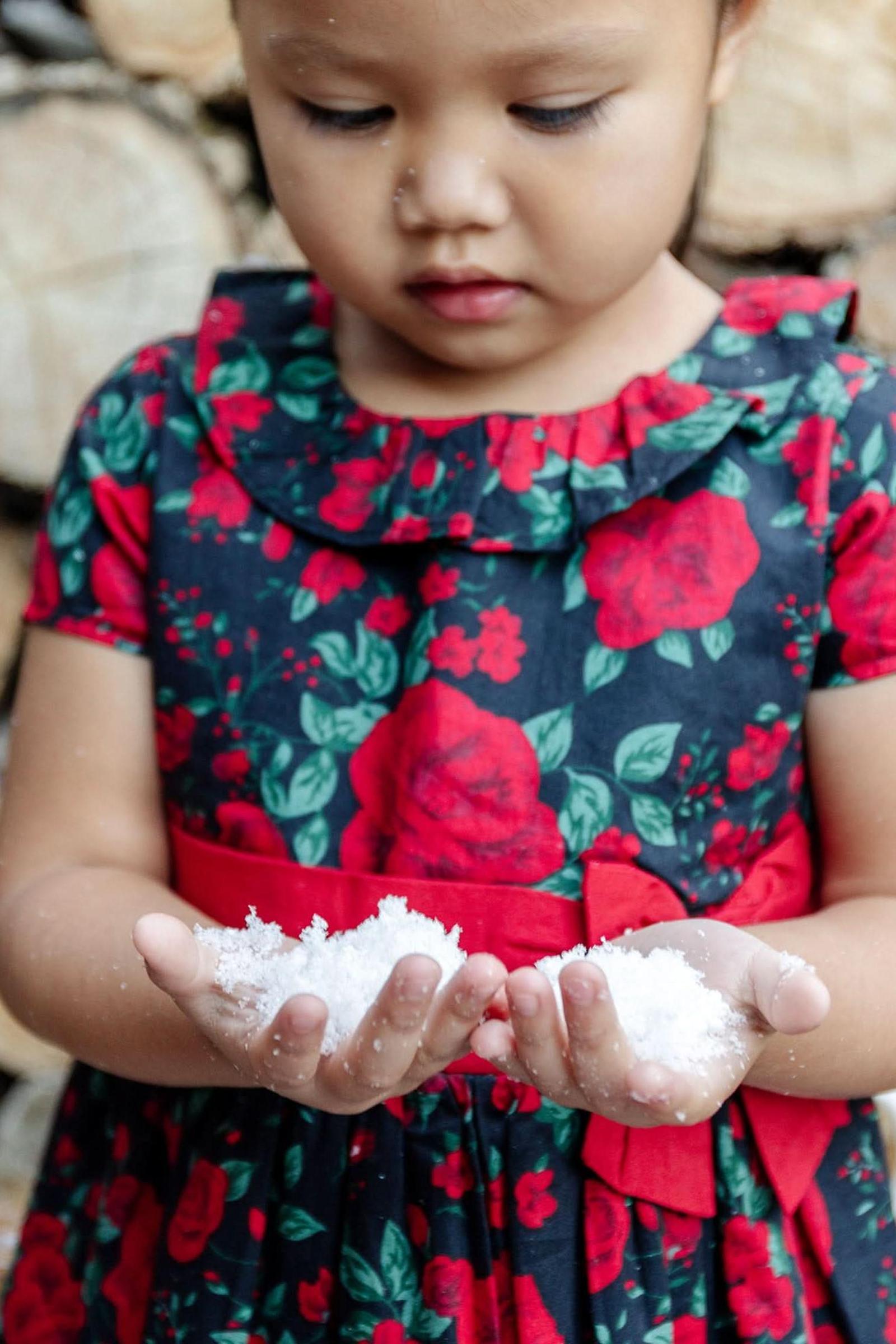 Organic Cotton Ruffle Collar Party Dress for Baby Girls, Black Holiday Rose, Family Matching Outfits