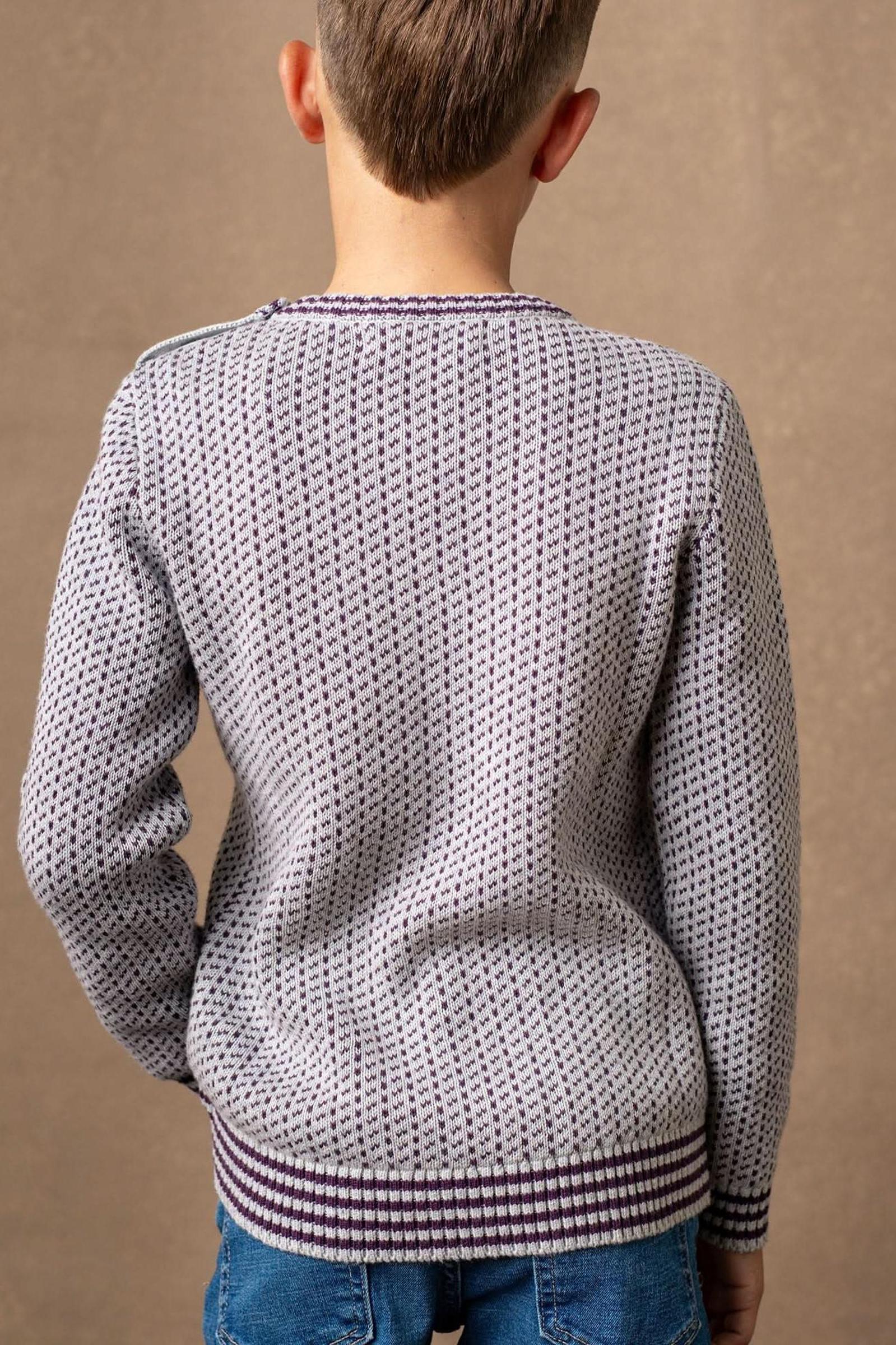 Organic Cotton Intarsia Crew Neck Sweater for Baby Boys, Gray & Plum, Baby