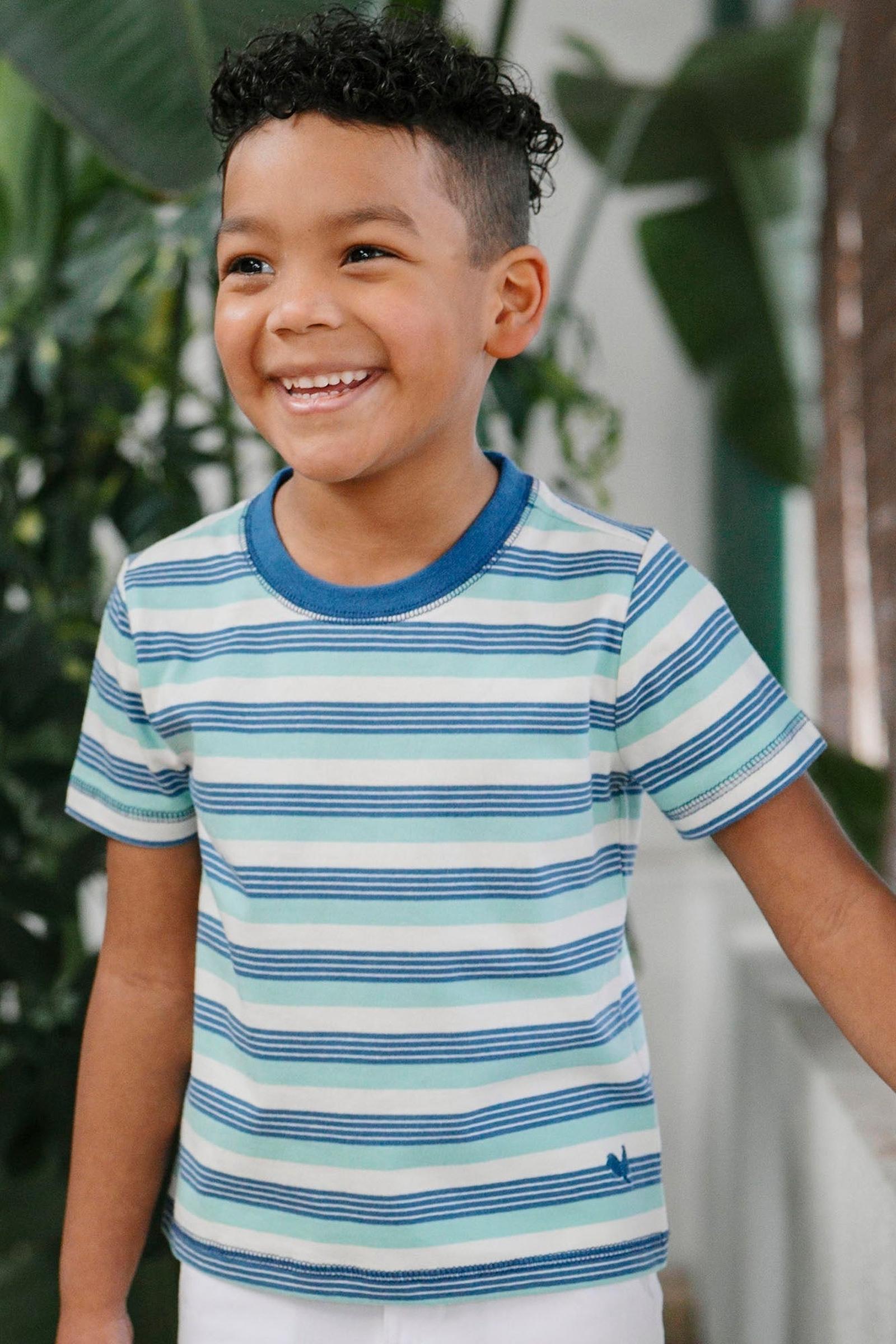 Organic Cotton Short Sleeve Henley Tee, Tidal Stripe, Boys, Sizes 2T-18