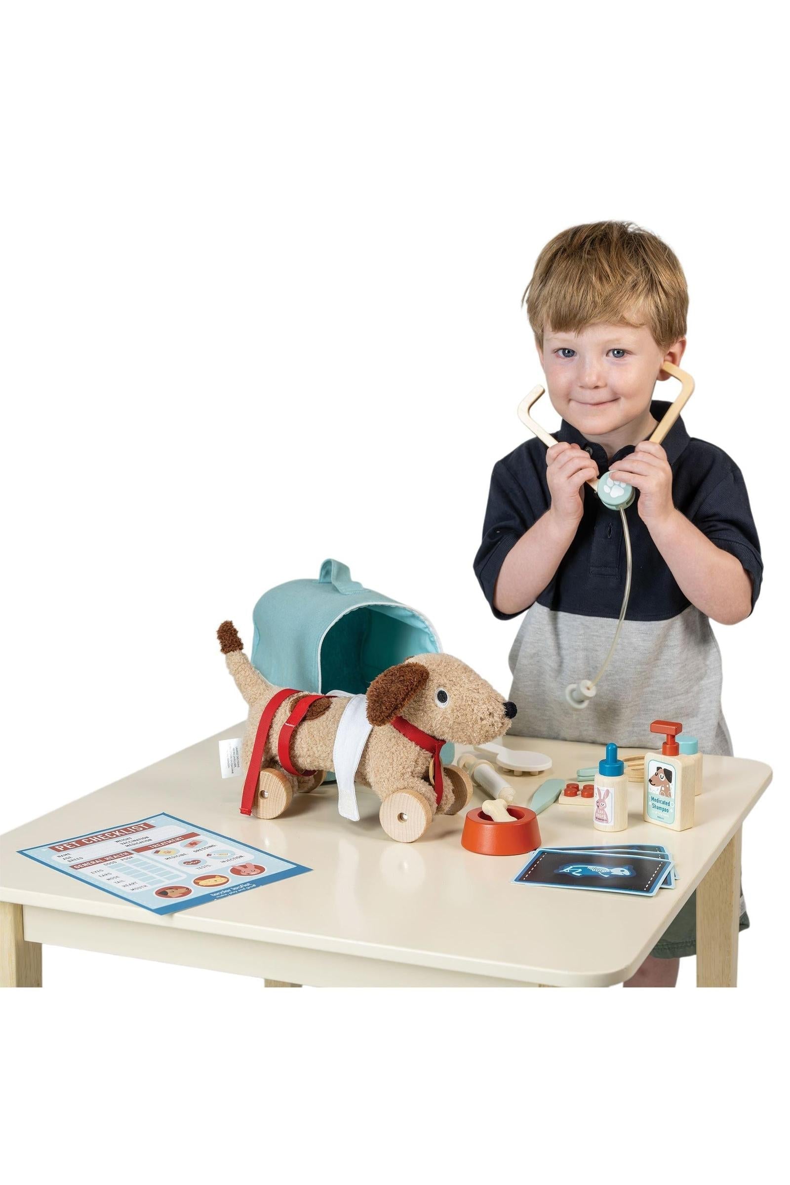 Animal Rescue Vet Case, Wooden Pretend Play Veterinary Set