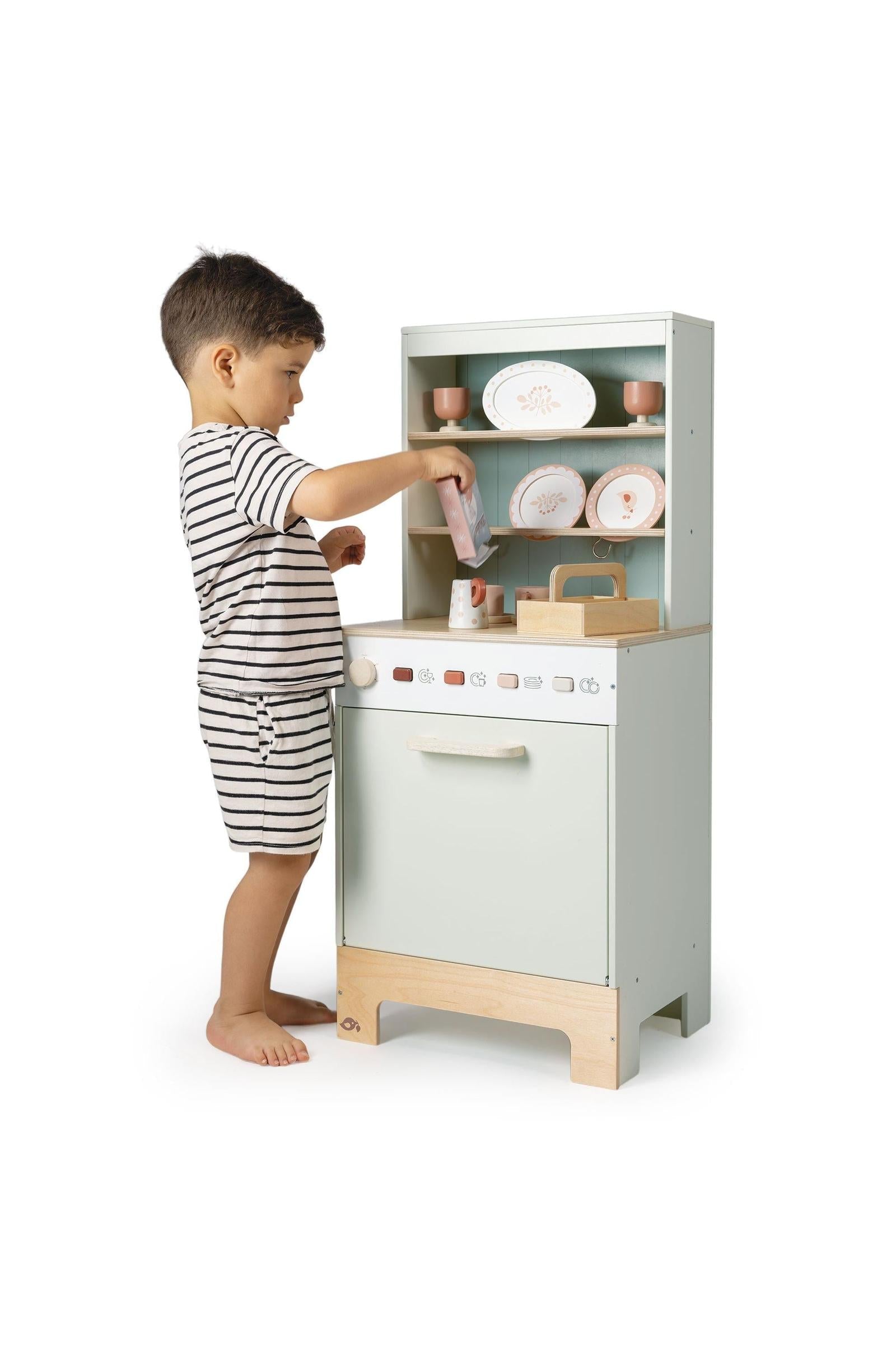 Kitchen Dresser and Dishwasher