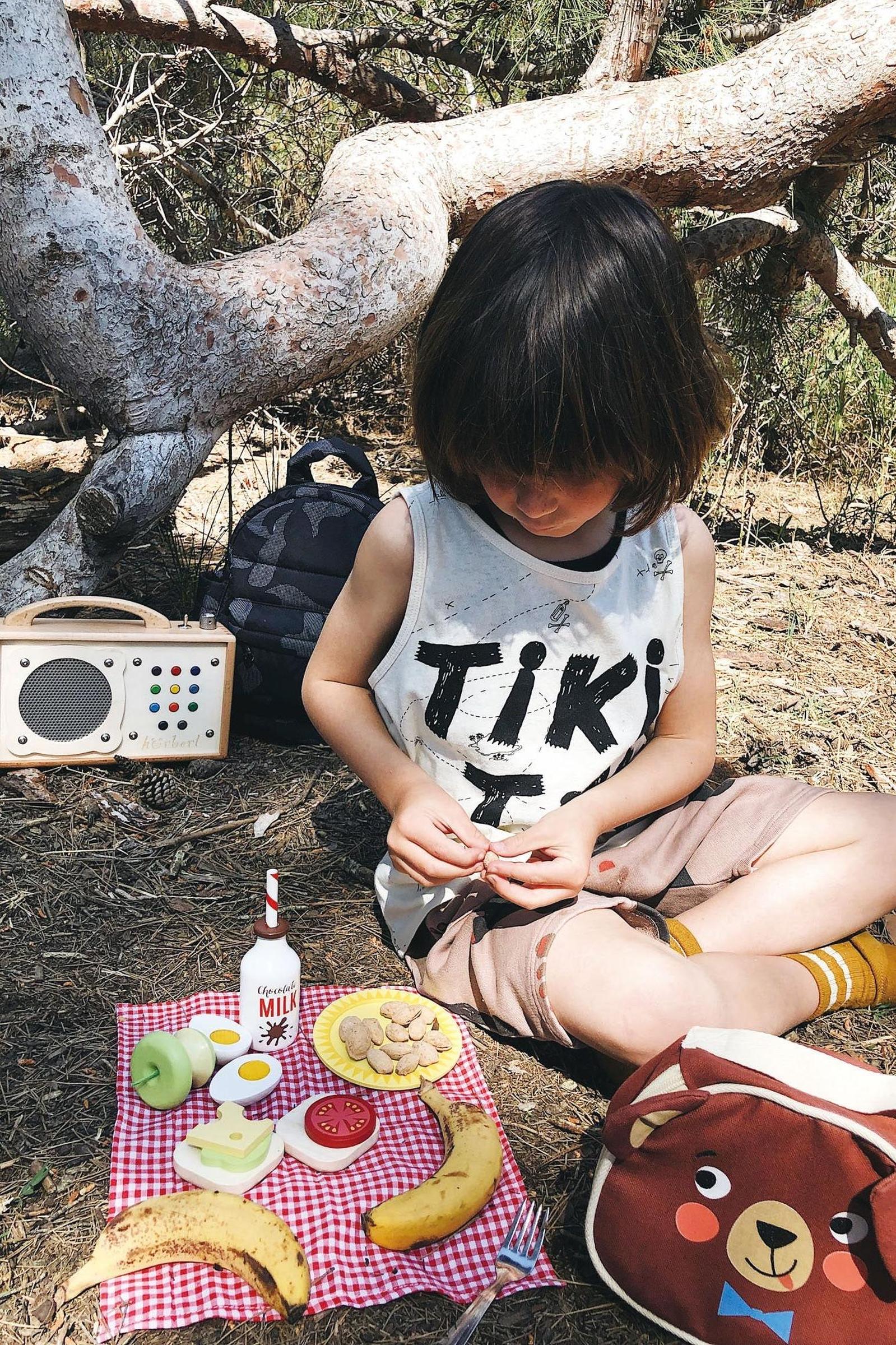Little Bear’s Picnic