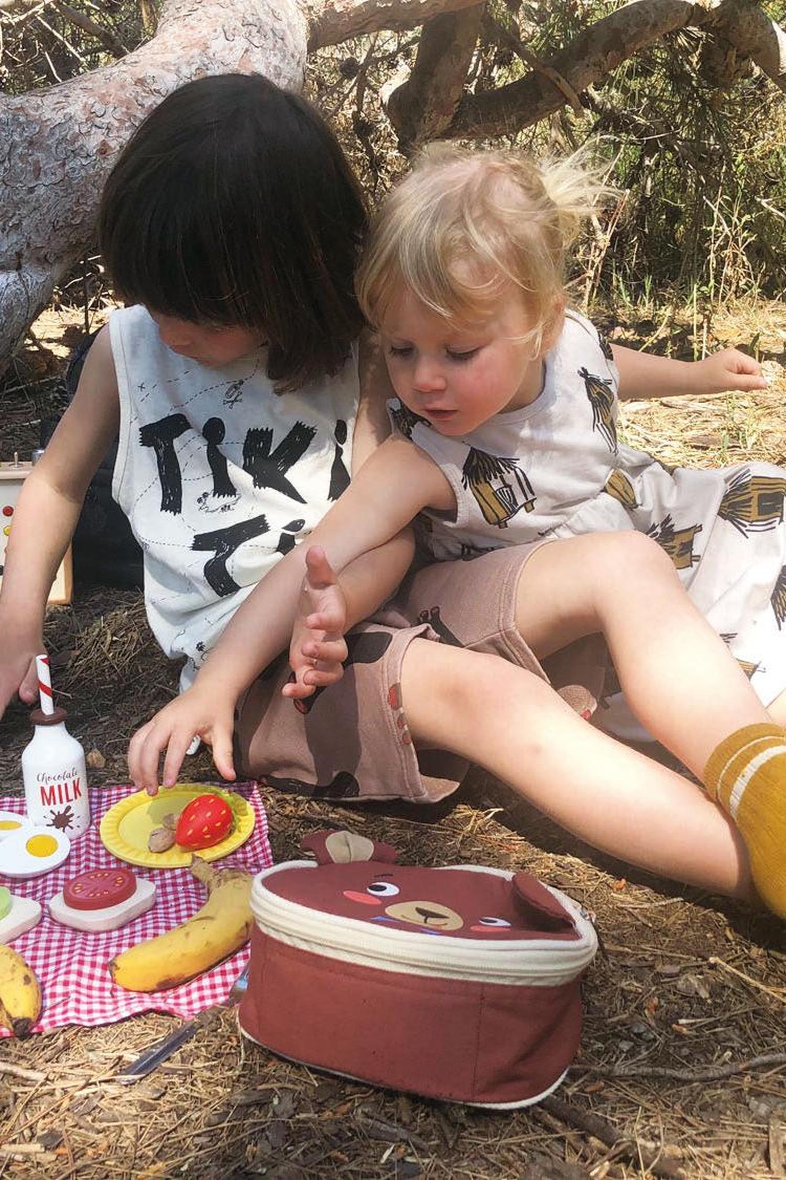 Little Bear’s Picnic