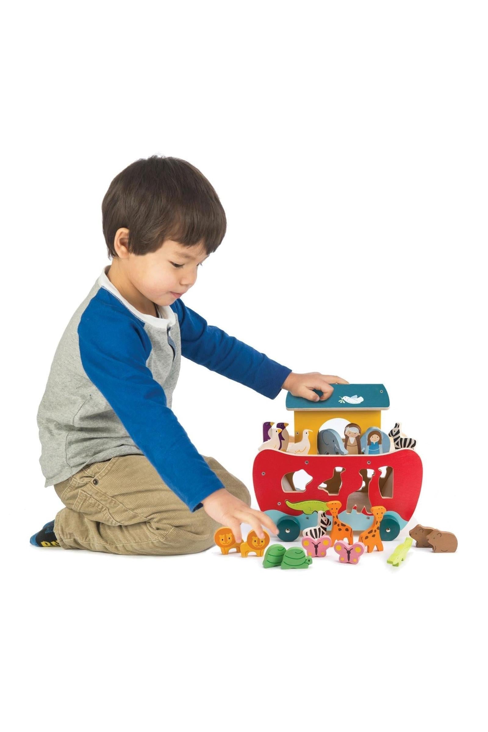 Noah's Shape Sorter Ark, 18 Months