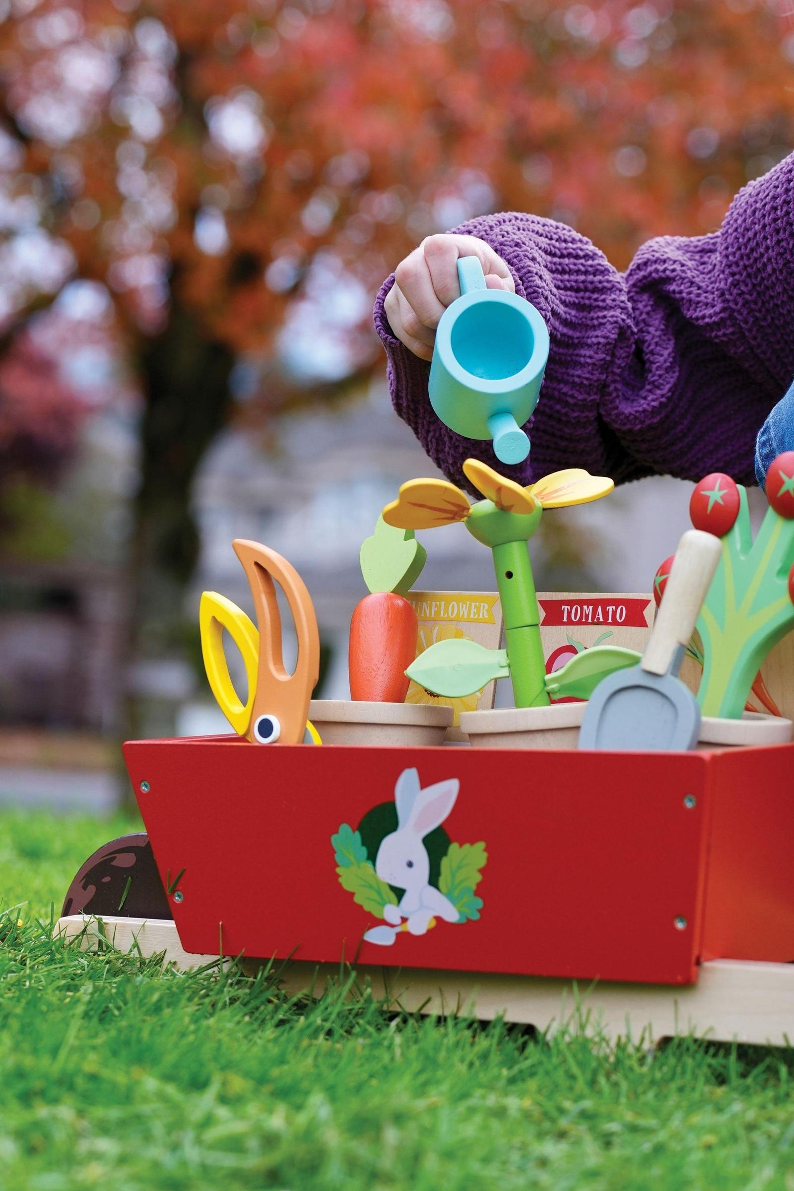 Garden Wheelbarrow Set