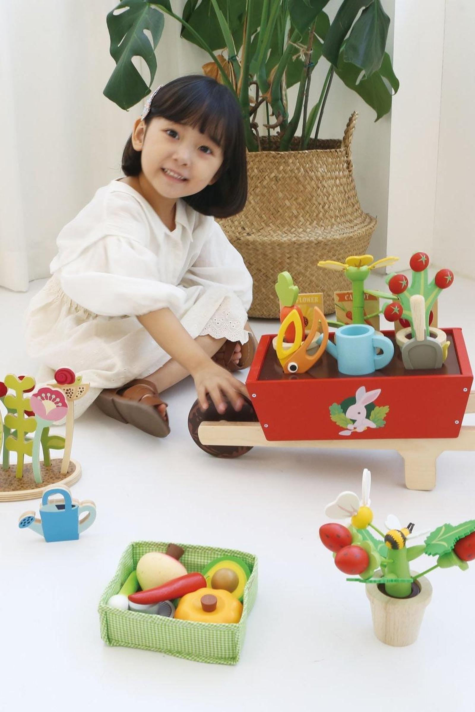 Garden Wheelbarrow Set