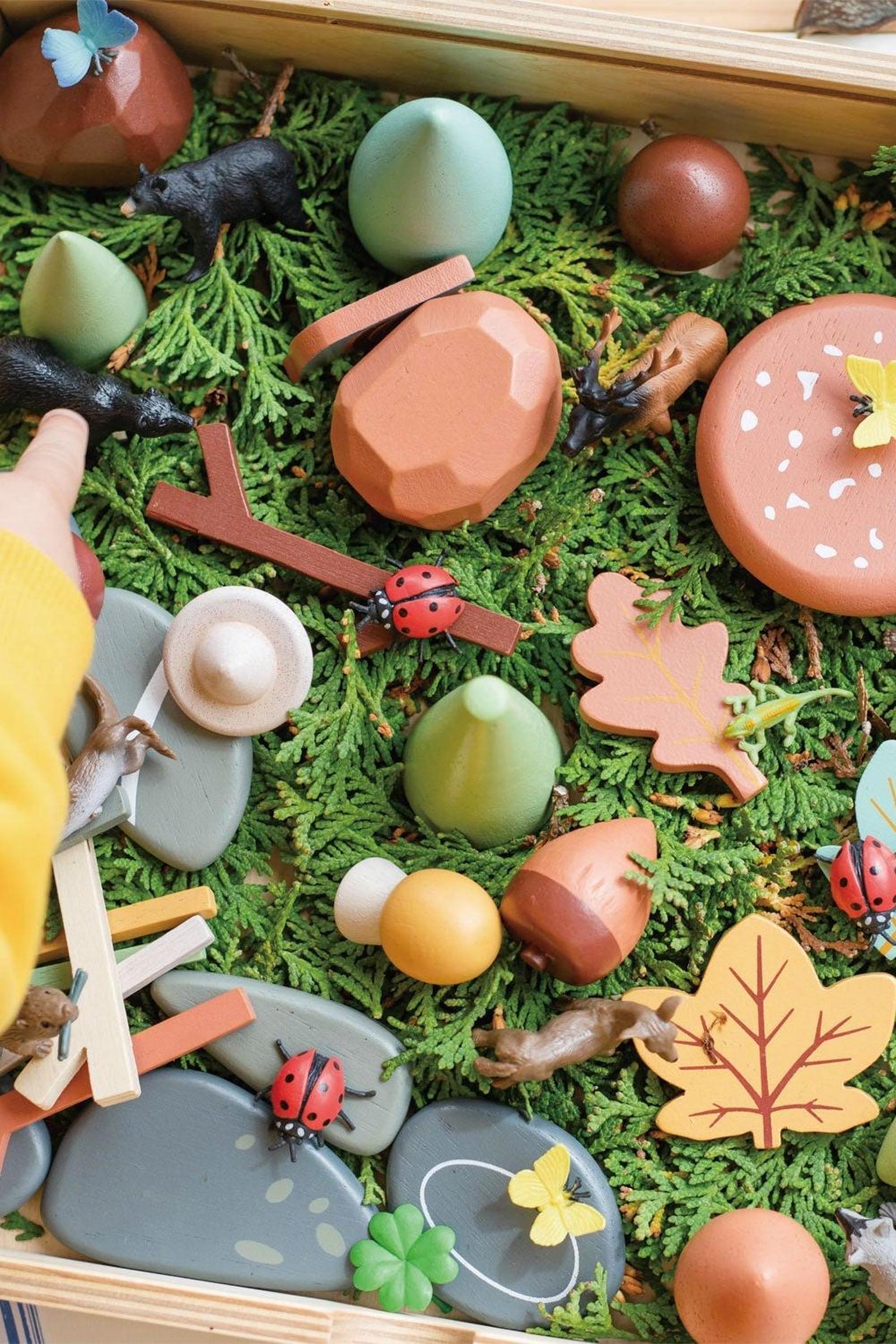 My Forest Floor, Award Winning Toy
