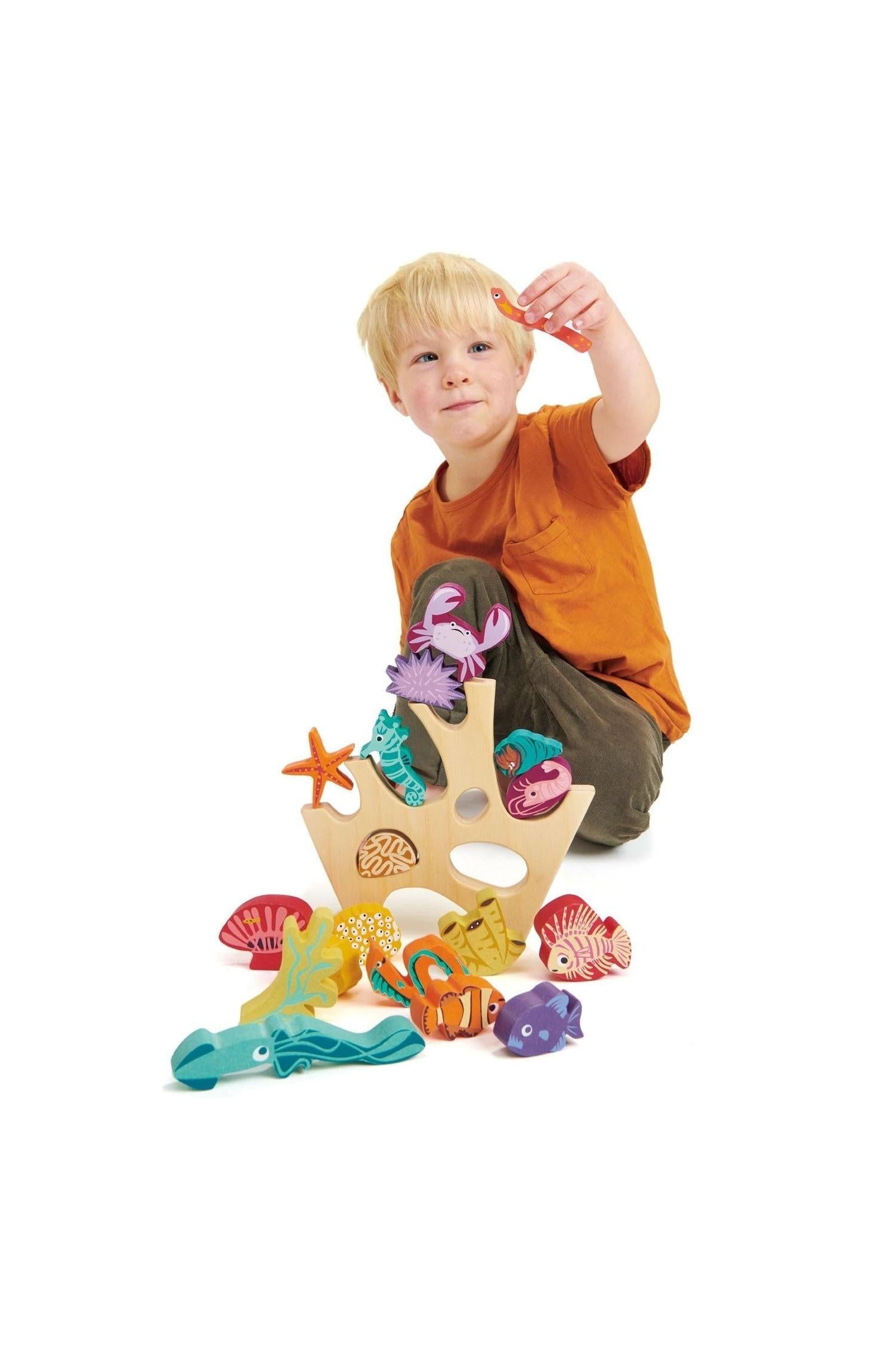 Stacking Coral Reef