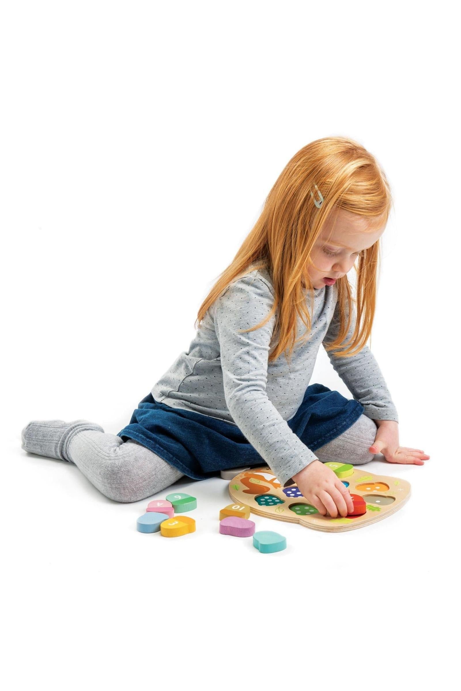 Bright Minds Math Collection
