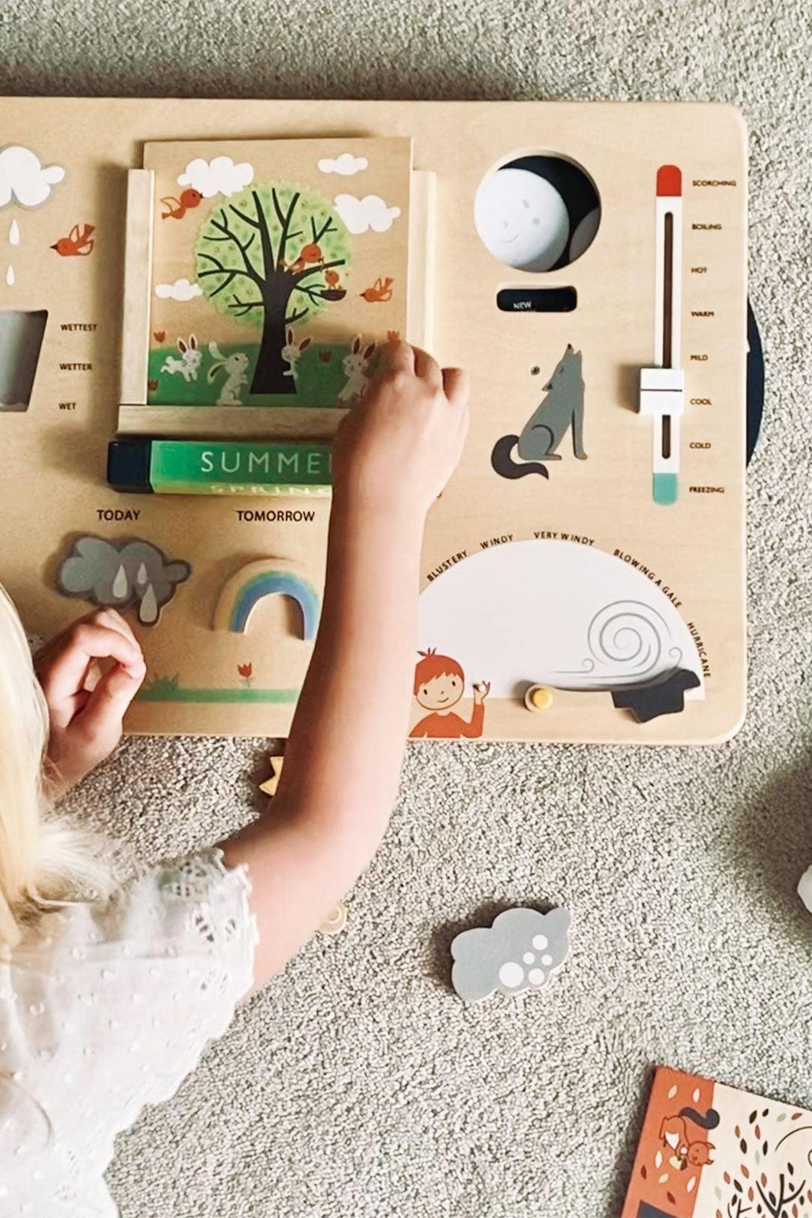 Weather Watch, Award Winning Toy