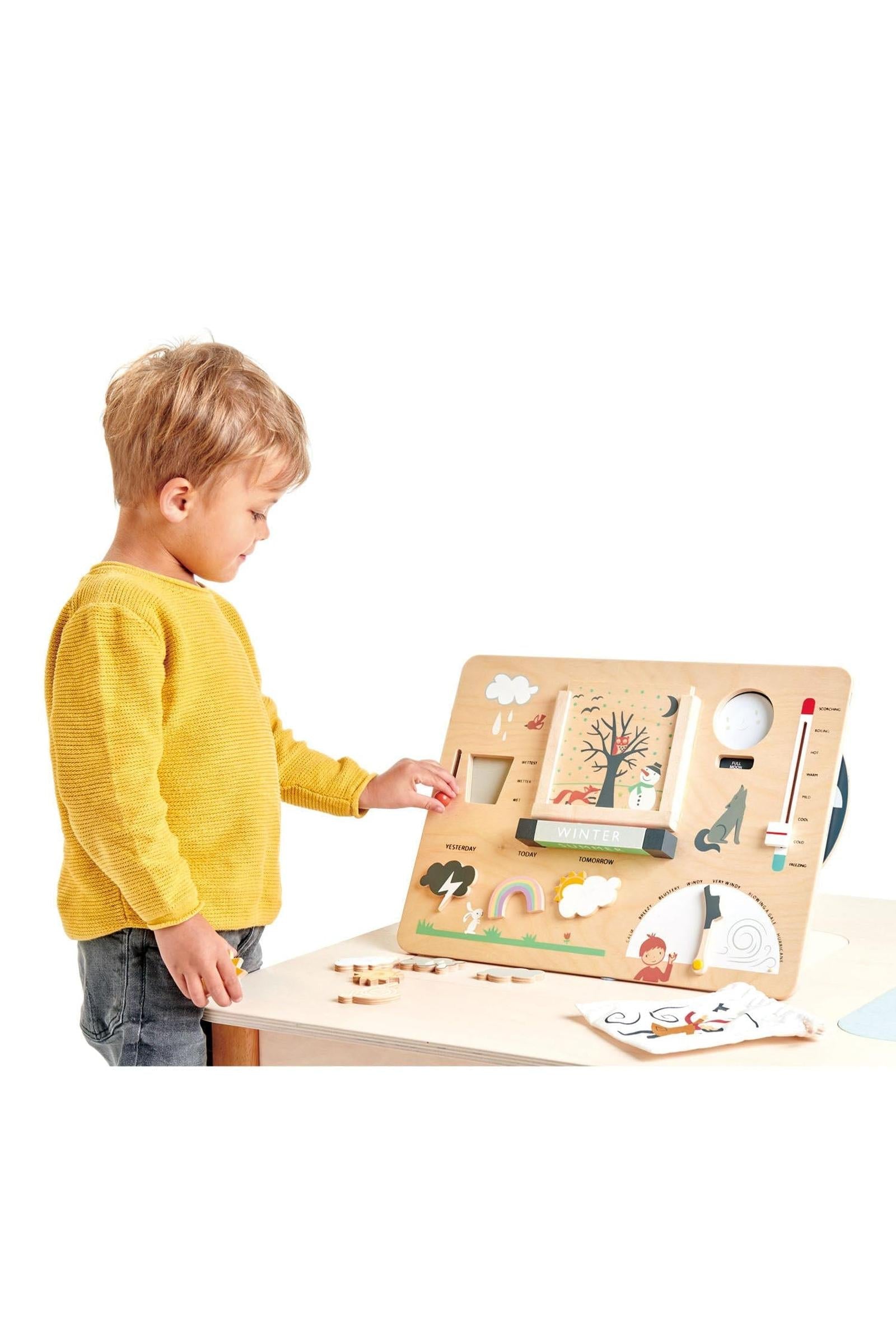 Weather Watch, Award Winning Toy