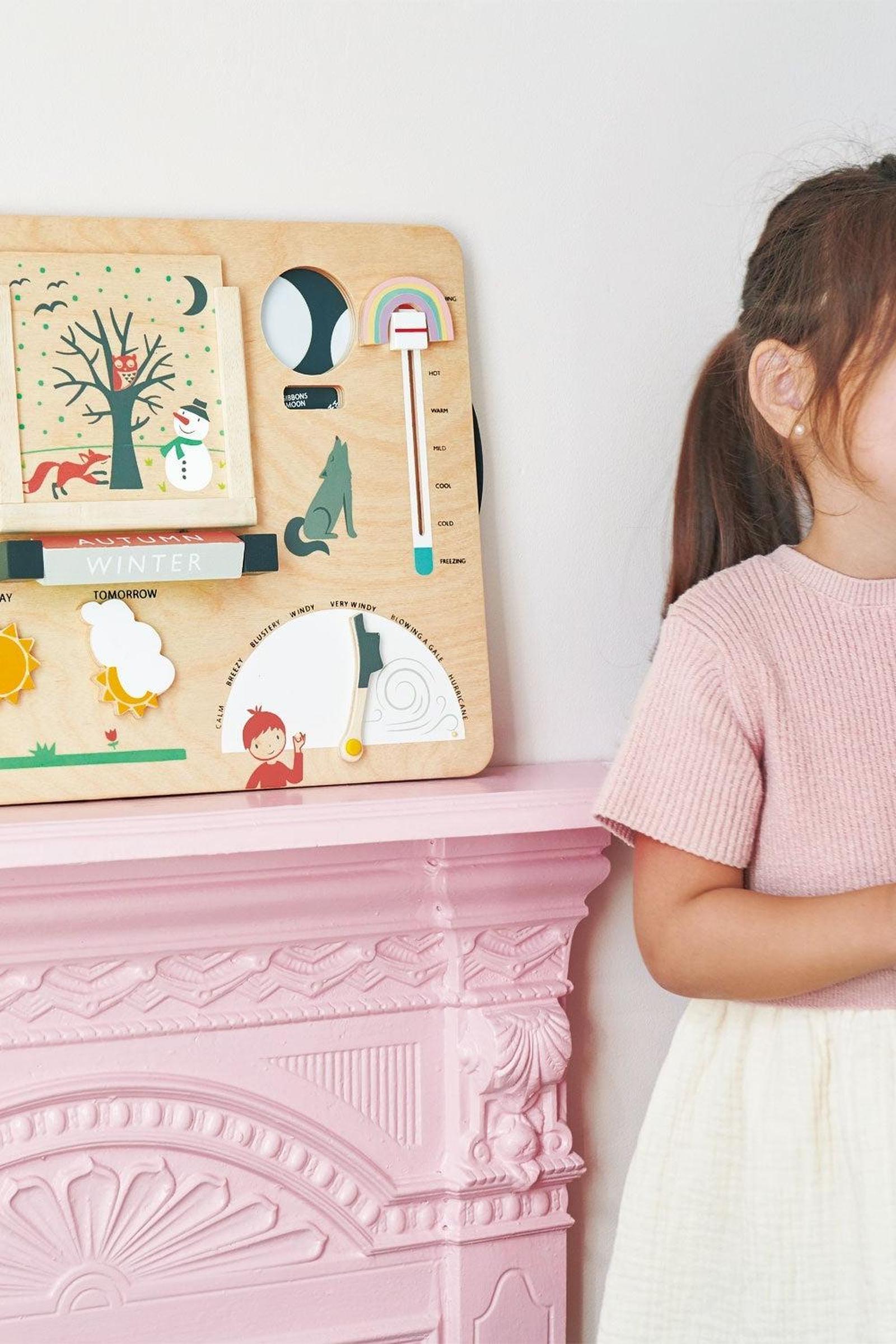 Weather Watch, Award Winning Toy