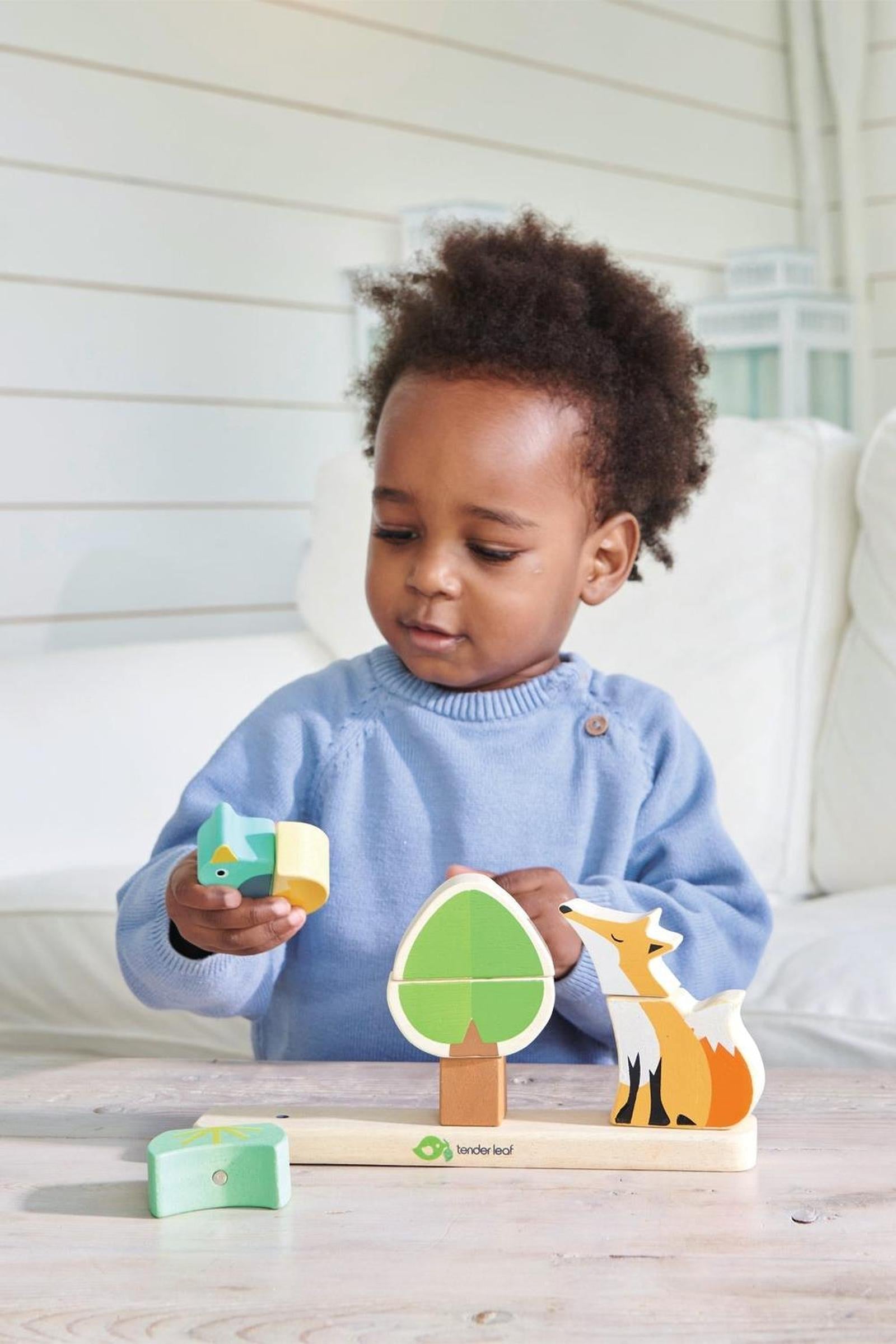 Infant Blocks Collection