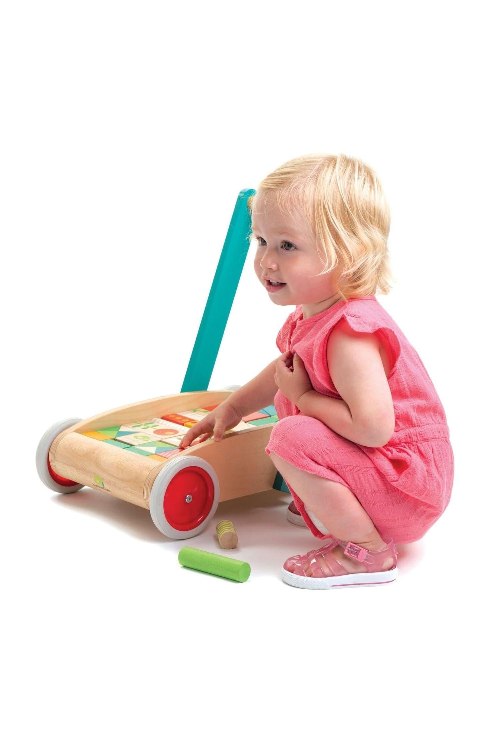 Baby Block Walker