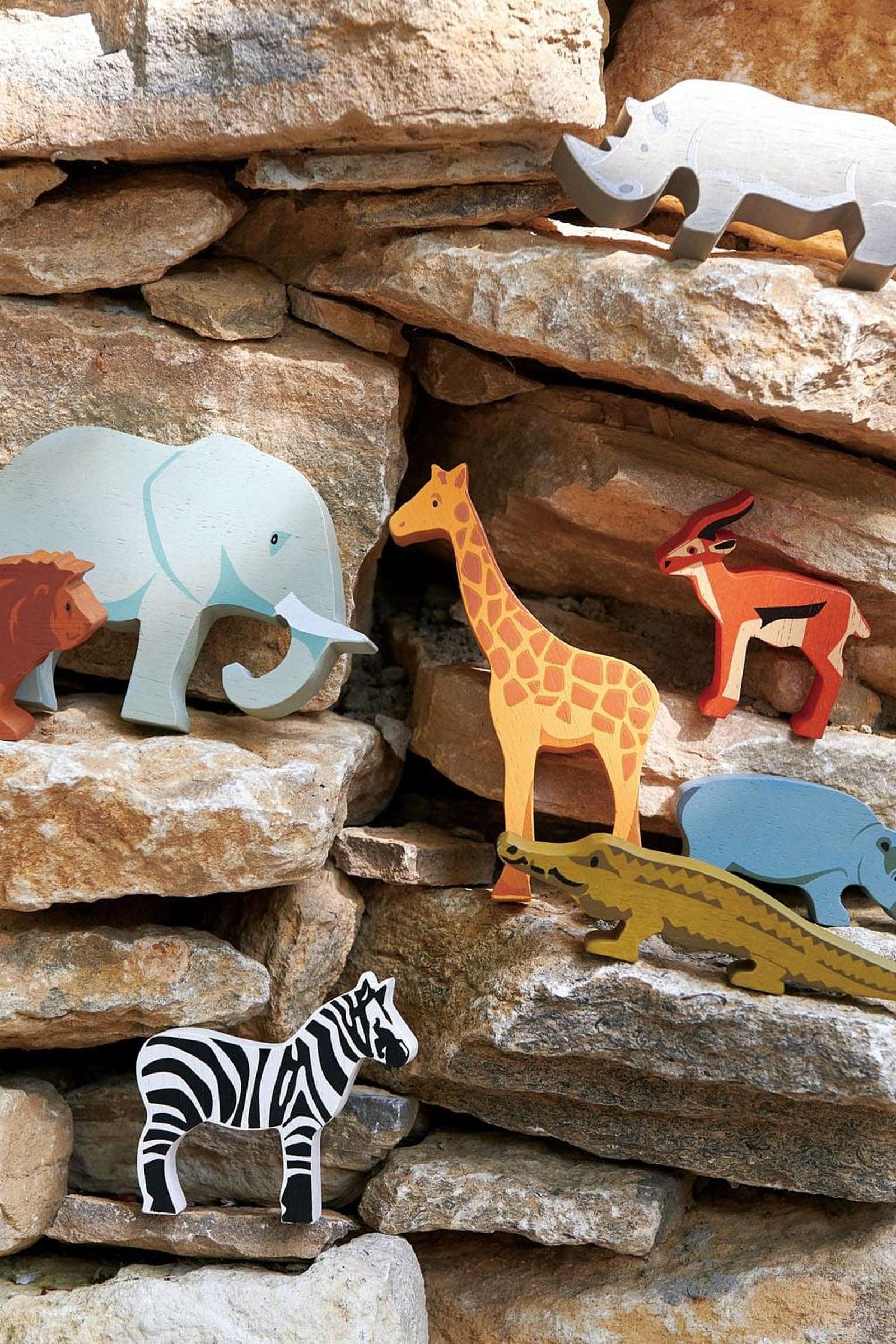Safari Collection