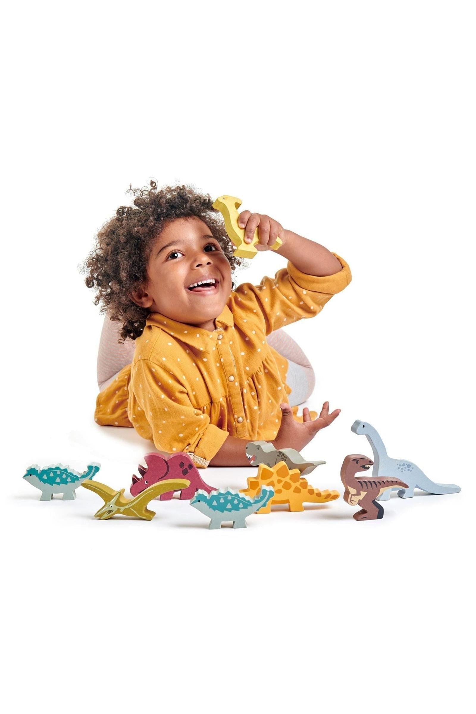 Dinosaurs Collection