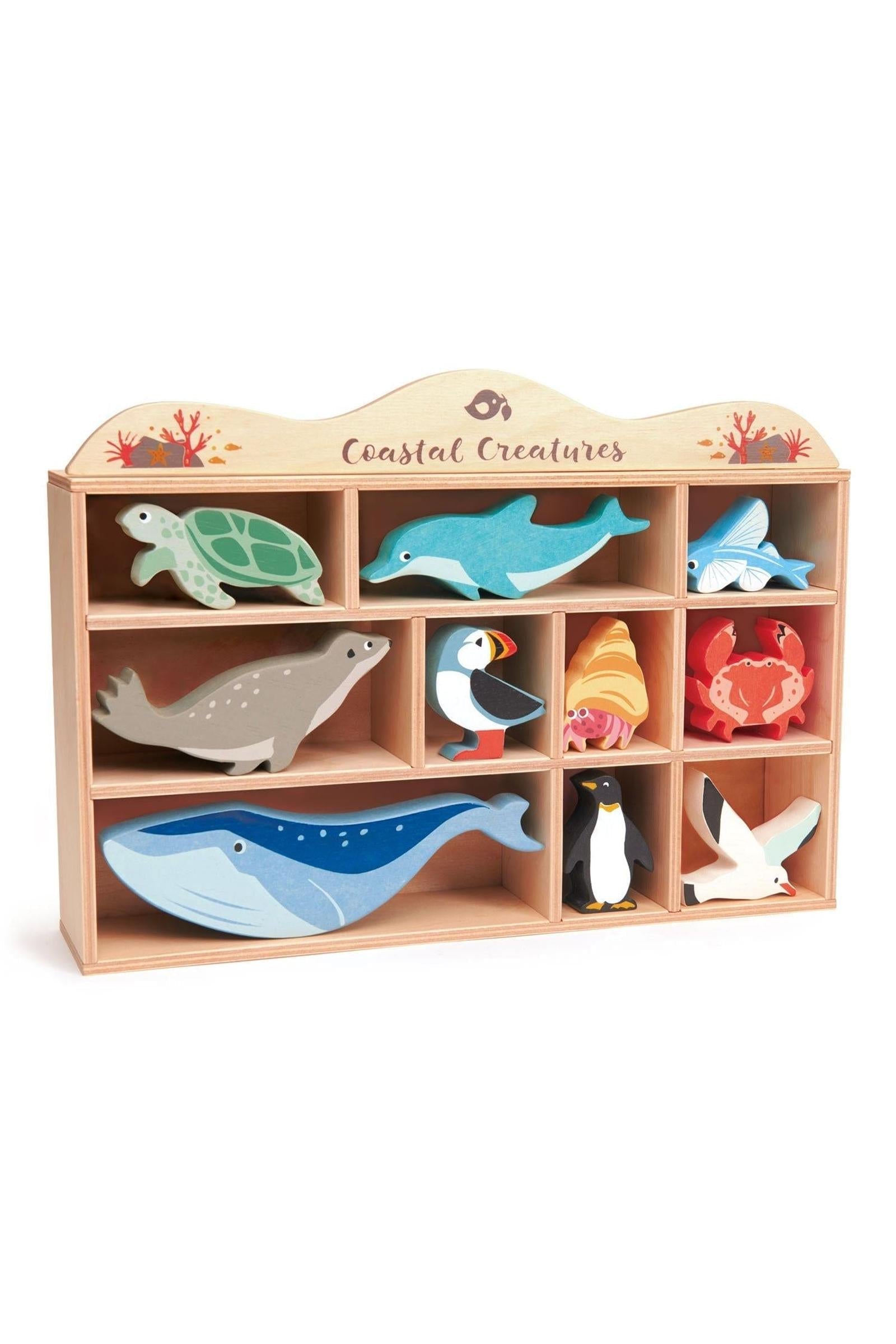 Coastal Creatures Collection
