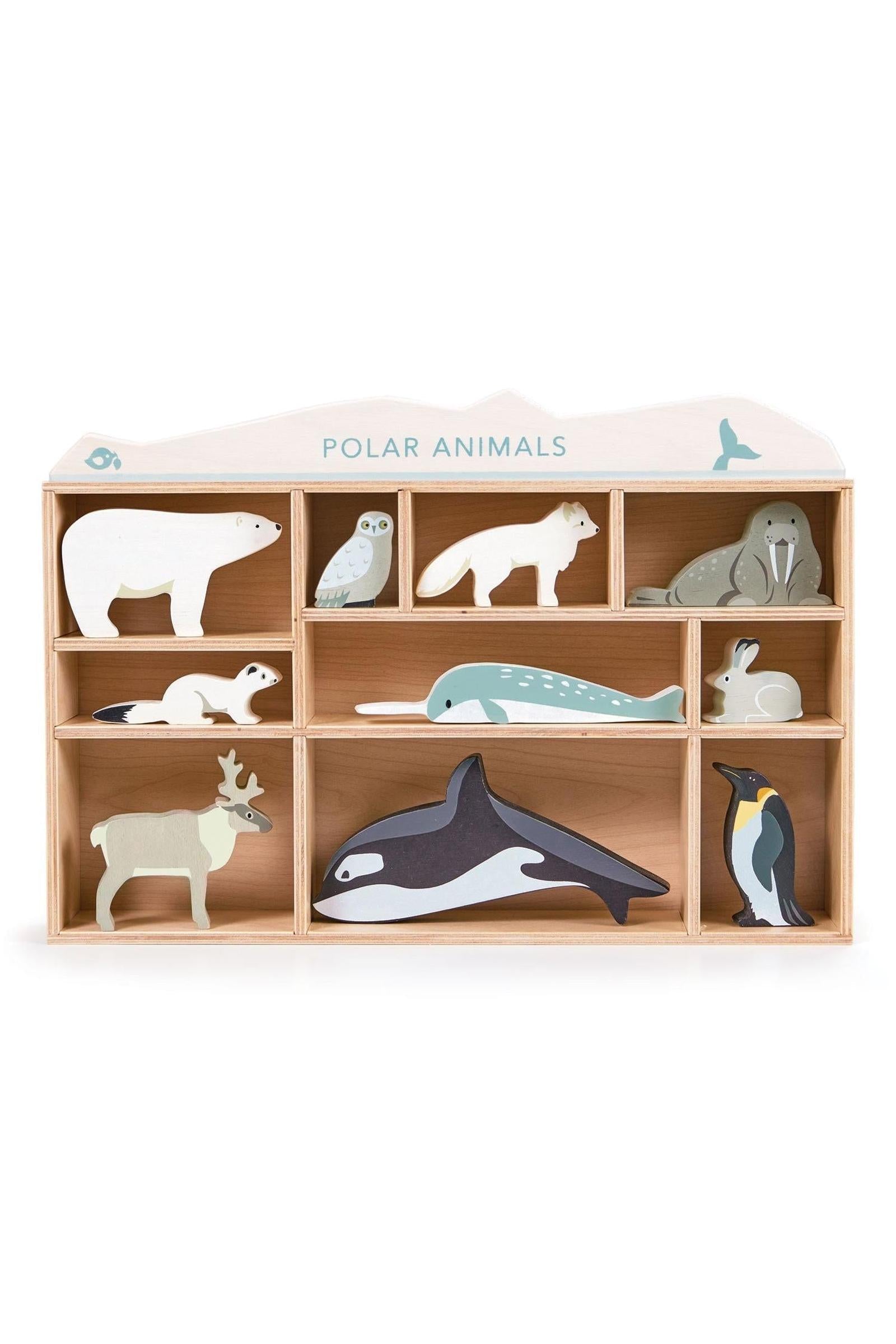 Polar Animals Collection