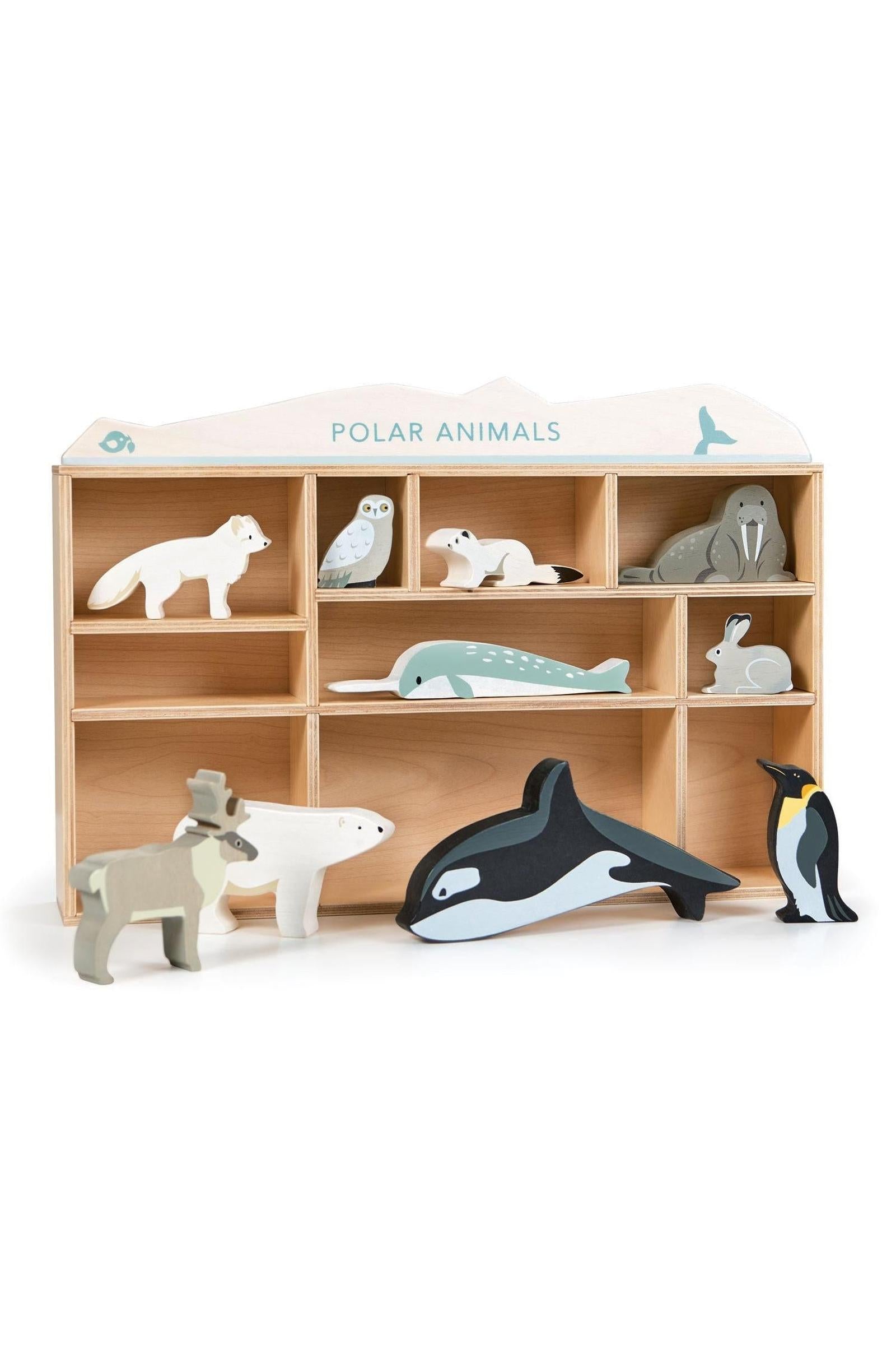 Polar Animals Collection