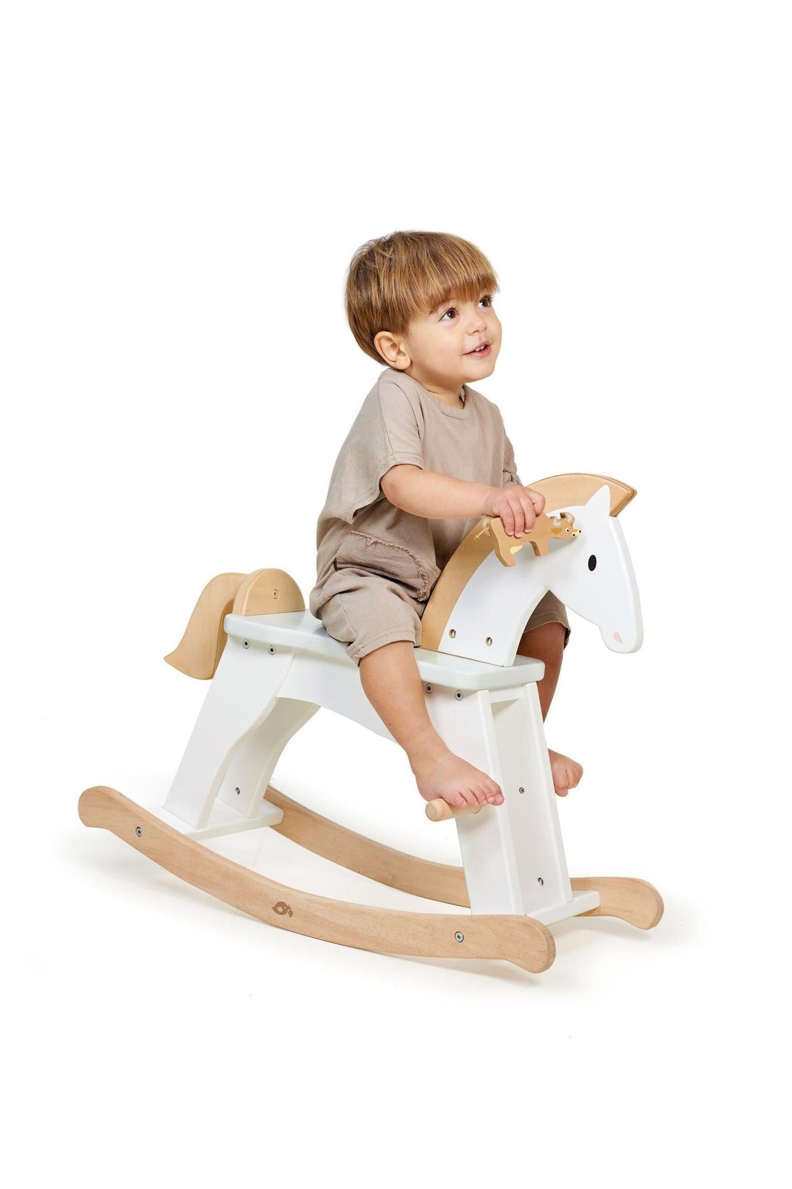 Lucky Rocking Horse