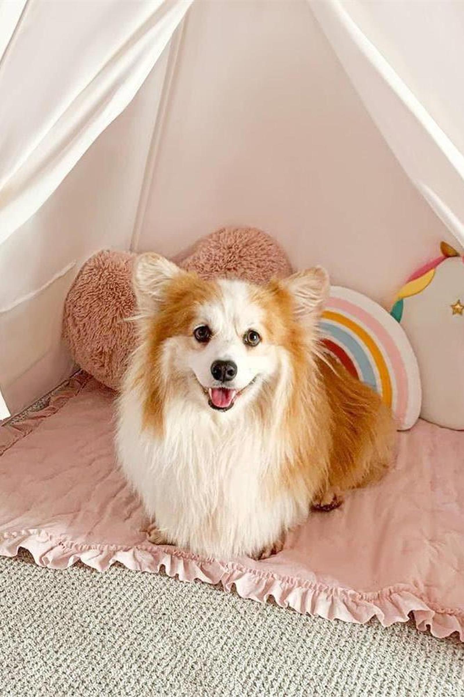 Teepee Tent for Kids with Mat – Indoor Play Tent with Floor Mat
