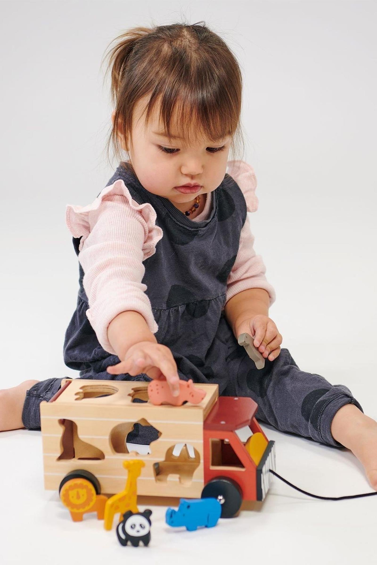 Explorer's Sorting and Stacking Bundle, Safari Truck, Stacking Dinosaurs