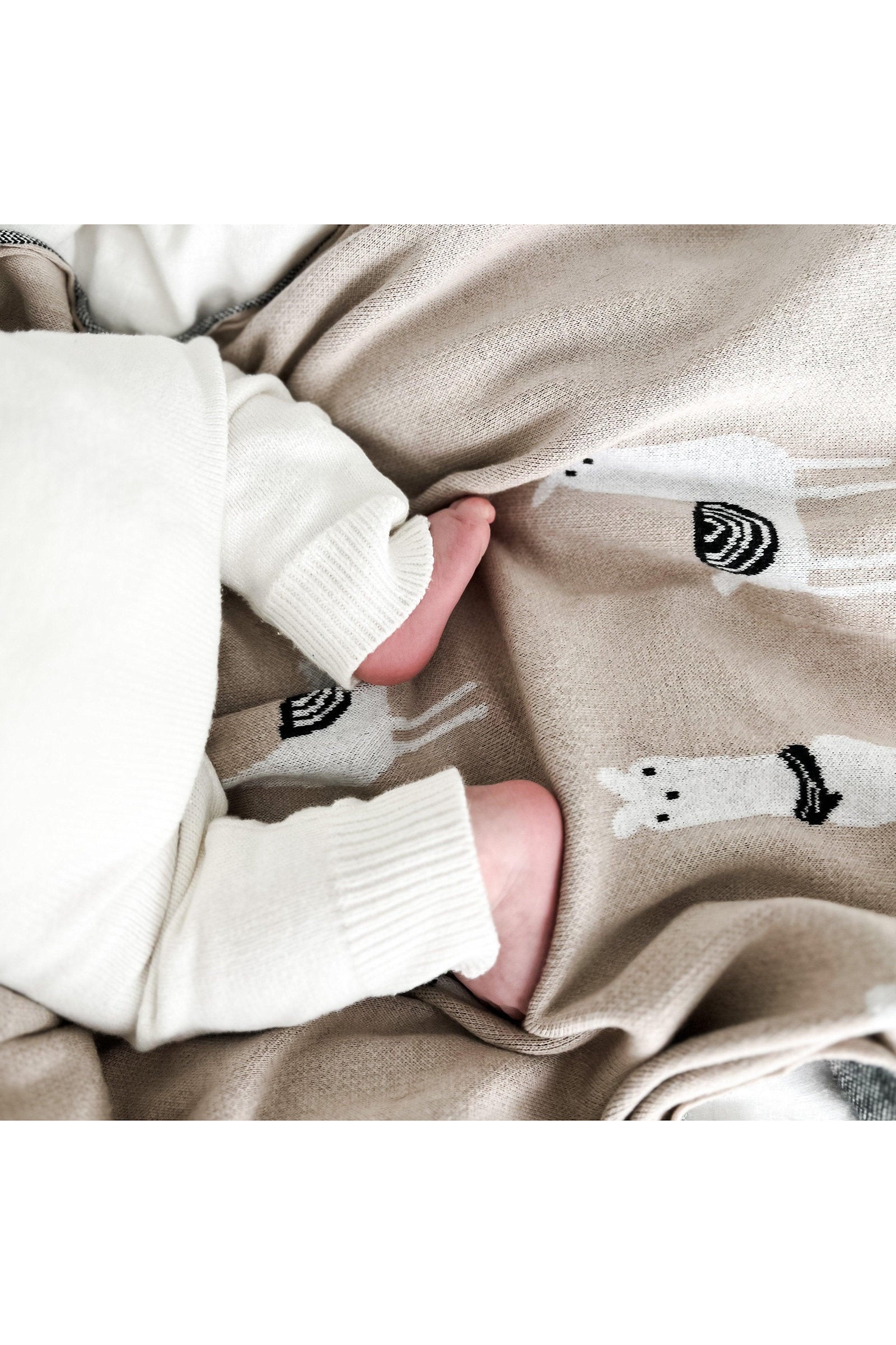 Knit Llama Luxury Swaddle Blanket, 100% OEKO Tex Pima Cotton