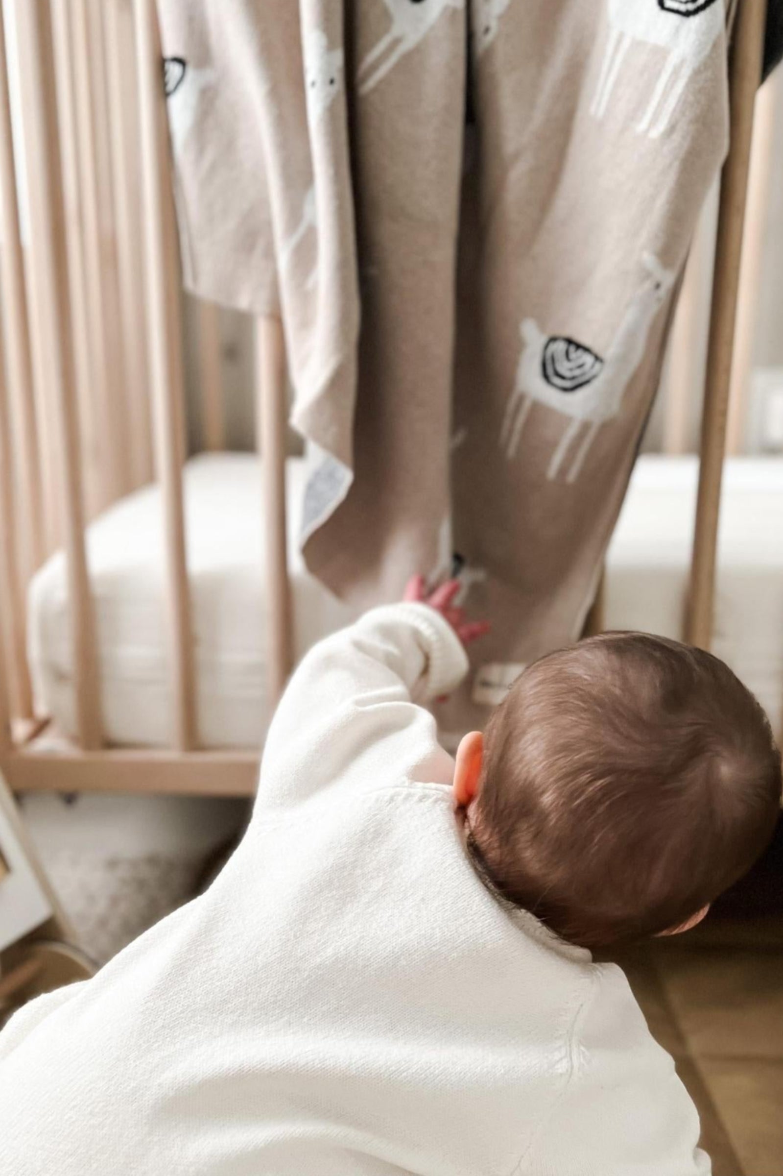 Knit Llama Luxury Swaddle Blanket, 100% OEKO Tex Pima Cotton