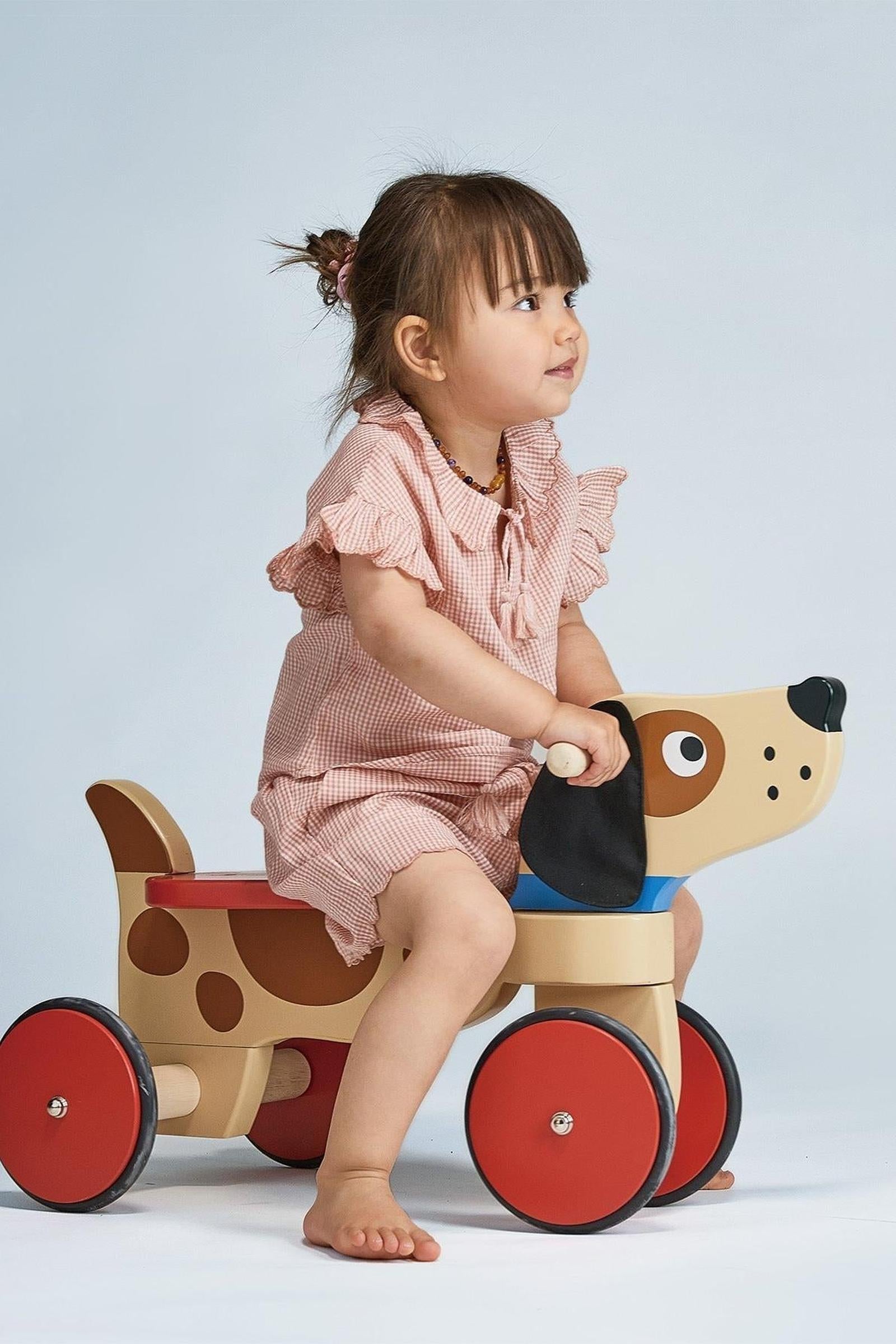 Ride On Puppy