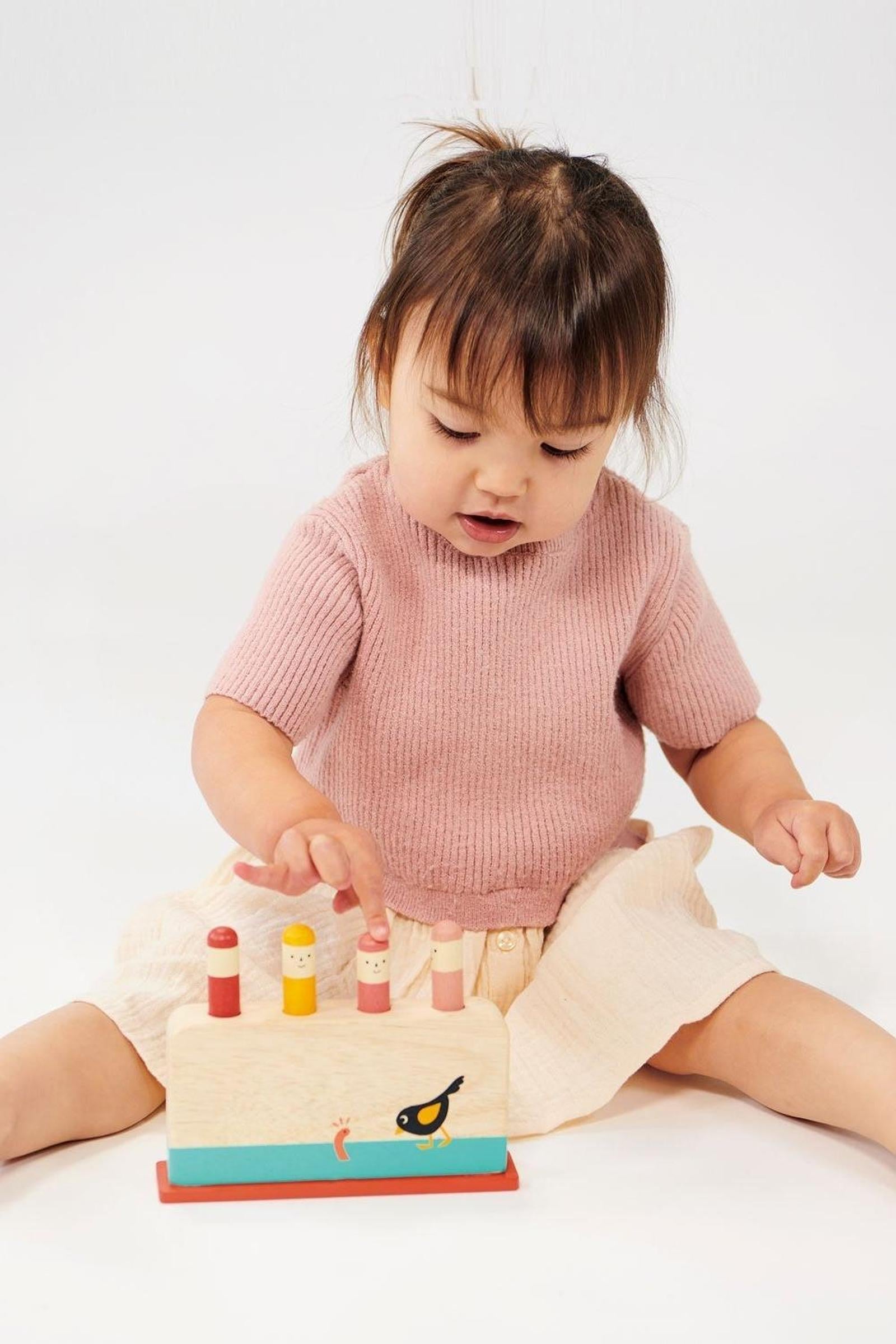 Toddler Learning Bundle, Stacking Tree, Bird Pop Up & Hammer Bench